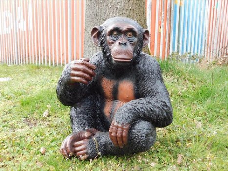 Zittende aap ,zeer gedetailleerd aap , gorilla ,kado - 4