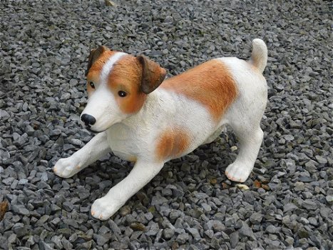 Jack russel wit bruin , van Polystone , hond - 1