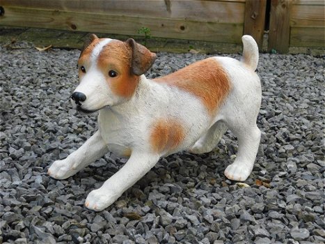 Jack russel wit bruin , van Polystone , hond - 2