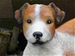 Jack russel wit bruin , van Polystone , hond - 3 - Thumbnail
