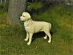 Prachtige Golden Retriever , van Polystone-hond - 0 - Thumbnail