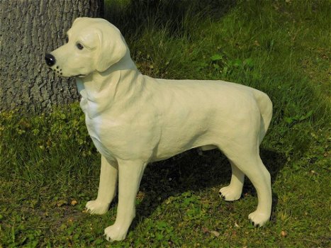Prachtige Golden Retriever , van Polystone-hond - 2