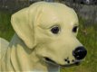 Prachtige Golden Retriever , van Polystone-hond - 5 - Thumbnail