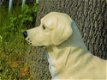 Prachtige Golden Retriever , van Polystone-hond - 6 - Thumbnail