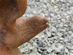 Adelaar van gietijzer met prachtige voet , adelaar - 4 - Thumbnail