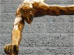 Beeld van een Turner , One Arm Handstand-turnen,beeld - 4 - Thumbnail