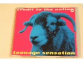 214s - cd single - teenage sensation - credit to the nation - 4 nrs - nr. 1