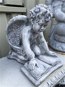 Engel met boek,  beeld voor plechtigheid , grafbeeld ,graf