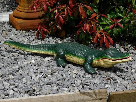 Gietijzeren beeld van een krokodil, in kleur, tuinbeeld - 3