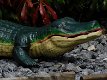 Gietijzeren beeld van een krokodil, in kleur, tuinbeeld - 4 - Thumbnail