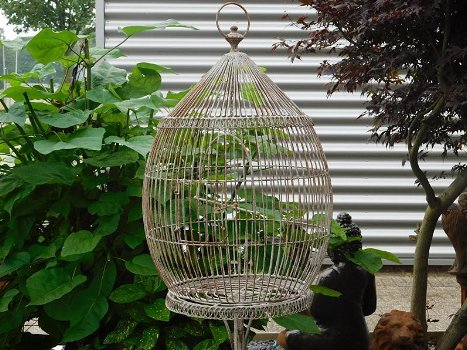 Klassieke vogelkooi, antiek ogende bird cage op voet,vogel - 1