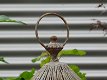 Klassieke vogelkooi, antiek ogende bird cage op voet,vogel - 3 - Thumbnail