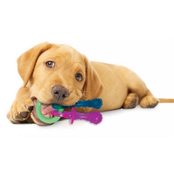 Nylabone Puppy Fopspeen | Kauwspeelgoed voor puppy’s tot 15 kilo - 0