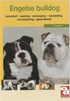 Engelse Bulldog, Over dieren - 0