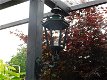 Nostalgische wandlamp, aluminium, groen , lamp - 3 - Thumbnail