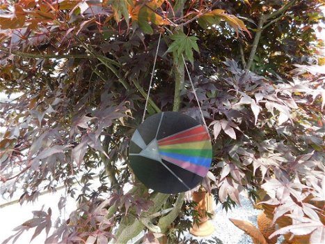 Ornament van LP logo, Pink Floyd,Dark Side of the Moon - 5