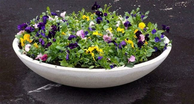 Plantenschaal steen, entree, winterhard, 70 cm,bloembak - 1