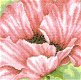 Borduurpakket Lanarte ROZE PAPAVER Nieuw ! - 0 - Thumbnail