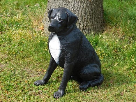 Rottweiler, zwart wit , van Polystone ,hond , kado - 1