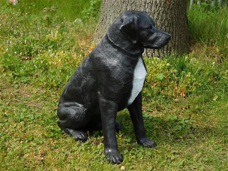 Rottweiler, zwart wit , van Polystone ,hond , kado - 5