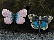 Set van 2 kapstok vlinders ,blauw & roze , vlinder,kapstok - 0 - Thumbnail