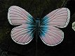 Set van 2 kapstok vlinders ,blauw & roze , vlinder,kapstok - 3 - Thumbnail