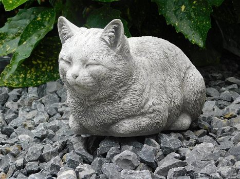 Stenen beeld van een poes , kat, zwaar tuinbeeld - 0