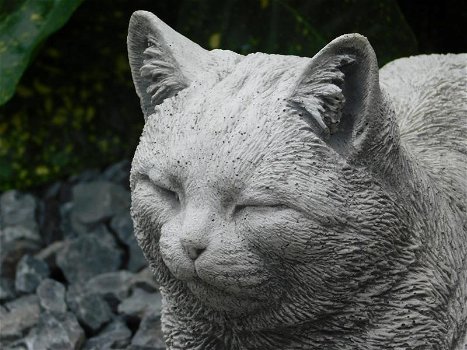 Stenen beeld van een poes , kat, zwaar tuinbeeld - 1