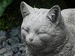 Stenen beeld van een poes , kat, zwaar tuinbeeld - 1 - Thumbnail