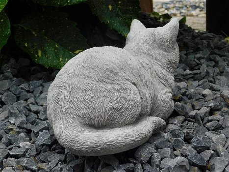Stenen beeld van een poes , kat, zwaar tuinbeeld - 3