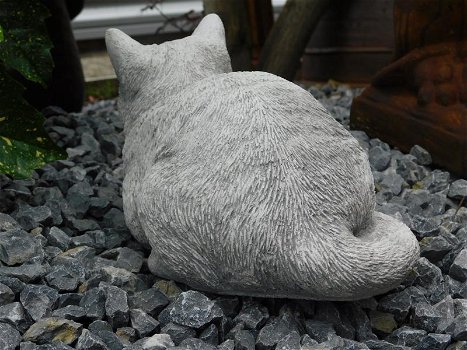Stenen beeld van een poes , kat, zwaar tuinbeeld - 4