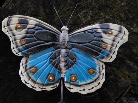 Vlinder kapstok blauw - metaal , vlinder , kapstok , kado - 0