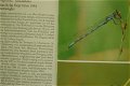 Libellen beobachten, bestimmen - 4 - Thumbnail