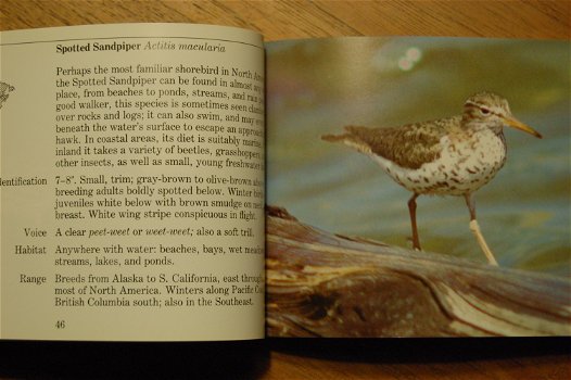 Familiar Birds of North America (West) - 2