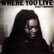 Tracy Chapman ‎– Where You Live (CD) Nieuw/Gesealed - 0 - Thumbnail