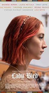 Netflix Movie Lady Bird - de best beoordeelde films aller tijden. - 0