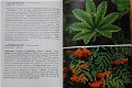 Geneeskrachtige planten - 2 - Thumbnail