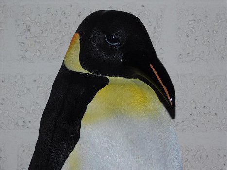 Pinguïn beeld , polystone, zeer gedetailleerd , kado - 1