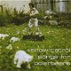 Snow Patrol – Songs For Polarbears (CD) Nieuw/Gesealed - 0 - Thumbnail
