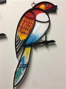 Prachtige grote set papegaaien, vol in kleur , papegaai - 1