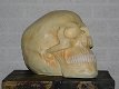 Skull , polystone , skull , kado , XL - 2 - Thumbnail