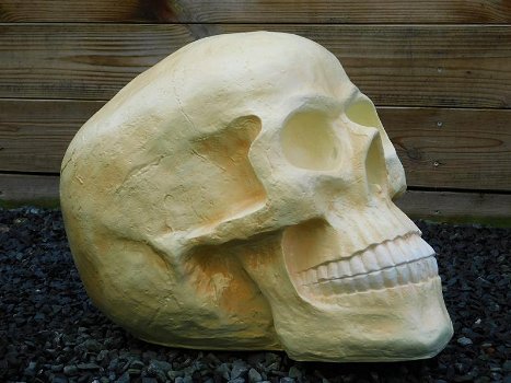 Skull , polystone , skull , kado , XL - 4