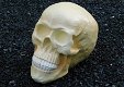 Skull , polystone , skull , kado , XL - 5 - Thumbnail