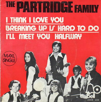 The Partridge Family – I Think I Love You (1972) - 0