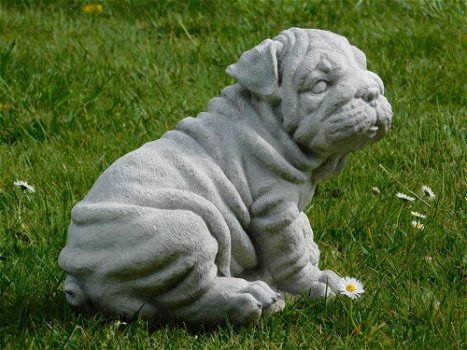 Beeld Bulldog puppy , vol steen , hond , kado - 1