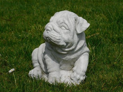 Beeld Bulldog puppy , vol steen , hond , kado - 2