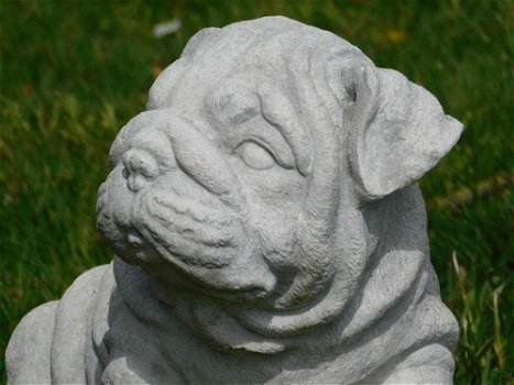 Beeld Bulldog puppy , vol steen , hond , kado - 3