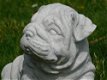 Beeld Bulldog puppy , vol steen , hond , kado - 3 - Thumbnail