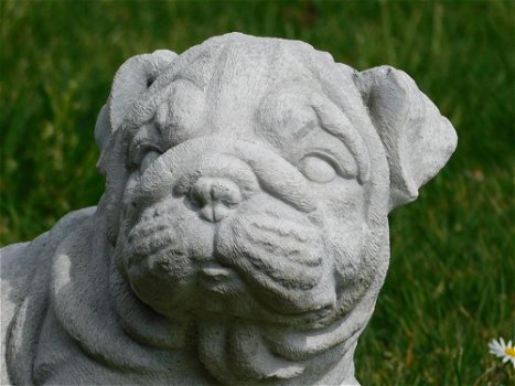 Beeld Bulldog puppy , vol steen , hond , kado - 4