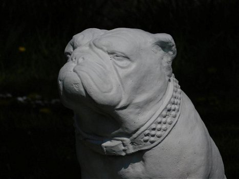 Beeld Bulldog XL , vol steen , hond - 0